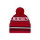 Ohio State Buckeyes Classic Pom Knit Hat