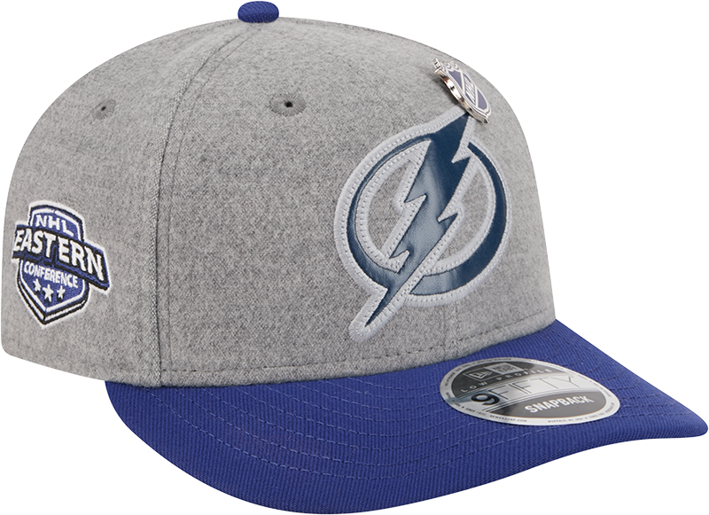 Tampa Bay Lightning Heather Gray Wool Low Profile 9FIFTY Snapback Hat