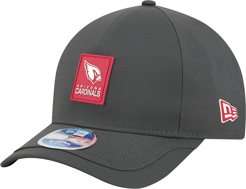 Arizona Cardinals 2025 Sideline Cold Weather Steel Clouds 9FORTY M-Crown Snapback Hat