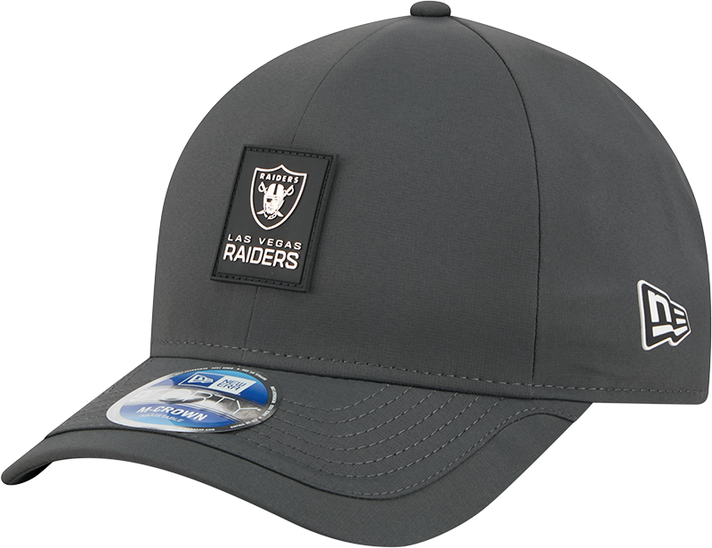 Las Vegas Raiders 2025 Sideline Cold Weather Steel Clouds 9FORTY M-Crown Snapback Hat