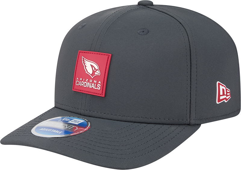 Arizona Cardinals 2025 Sideline Cold Weather Steel Clouds 9SEVENTY Stretch-Snap Hat