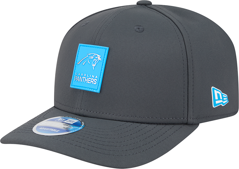 Carolina Panthers 2025 Sideline Cold Weather Steel Clouds 9SEVENTY Stretch-Snap Hat