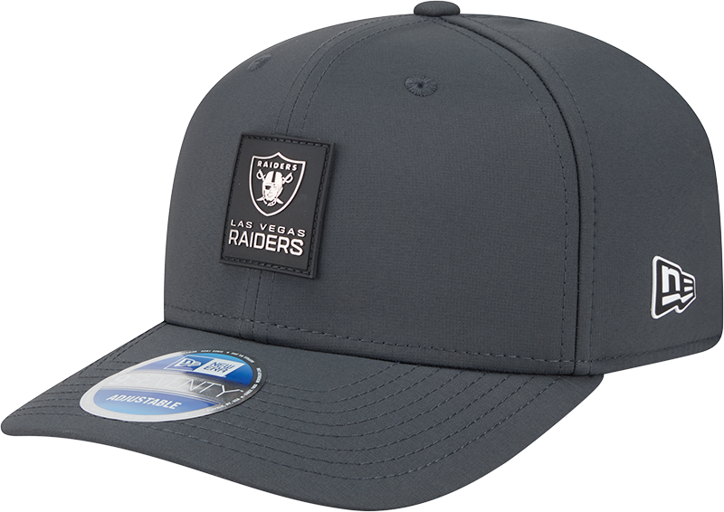 Las Vegas Raiders 2025 Sideline Cold Weather Steel Clouds 9SEVENTY Stretch-Snap Hat