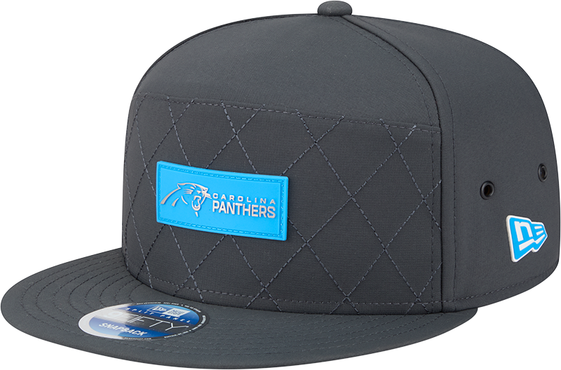Carolina Panthers 2025 Sideline Cold Weather Steel Clouds Split Panel 9FIFTY Snapback Hat