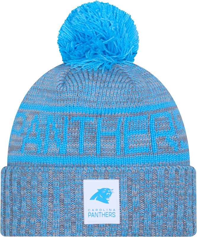 Carolina Panthers 2025 Sideline Cold Weather Gray Pom Knit Hat