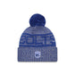 Indianapolis Colts 2025 Sideline Cold Weather Gray Pom Knit Hat