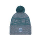 Philadelphia Eagles 2025 Sideline Cold Weather Gray Pom Knit Hat