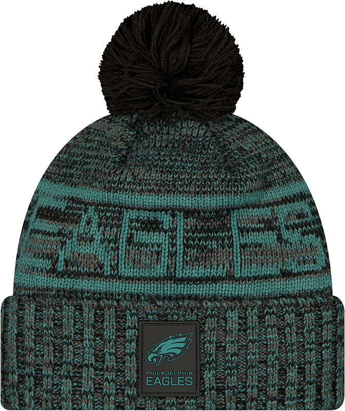 Philadelphia Eagles 2025 Sideline Cold Weather Black Pom Knit Hat