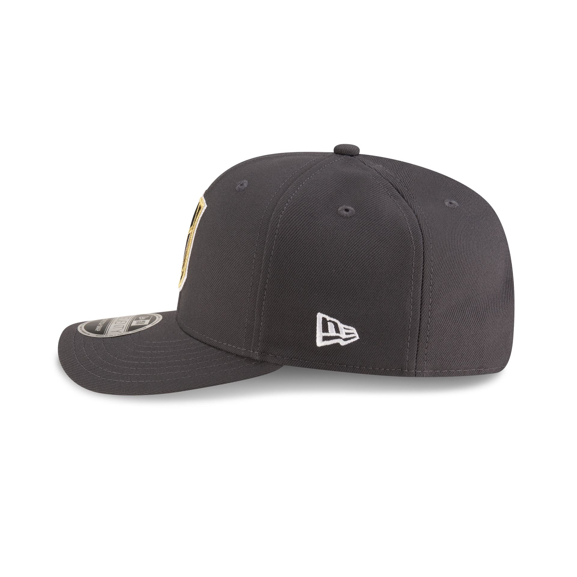 Vegas Golden Knights Team 9SEVENTY Stretch-Snap Hat