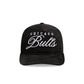 Chicago Bulls Velvet Team Script 19TWENTY Adjustable Hat