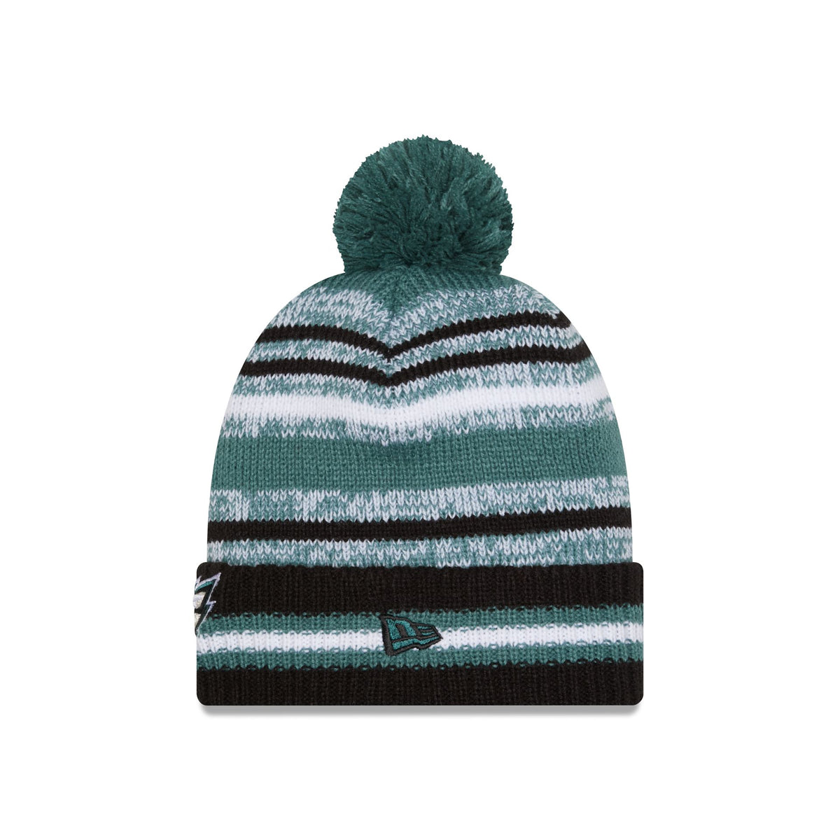 Philadelphia Eagles Cheer Pom Knit Hat