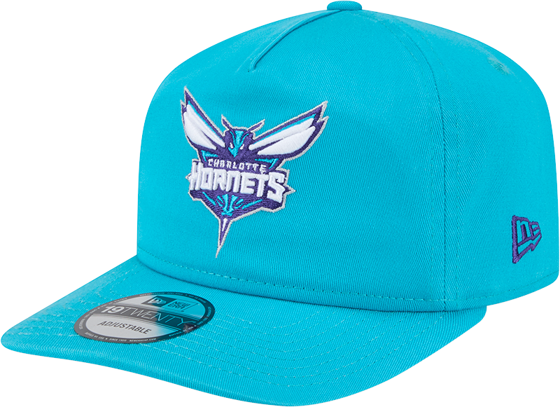 Charlotte Hornets 19TWENTY Snapback Hat