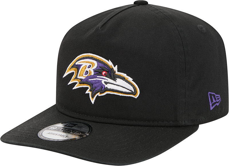 Baltimore Ravens 19TWENTY Snapback Hat