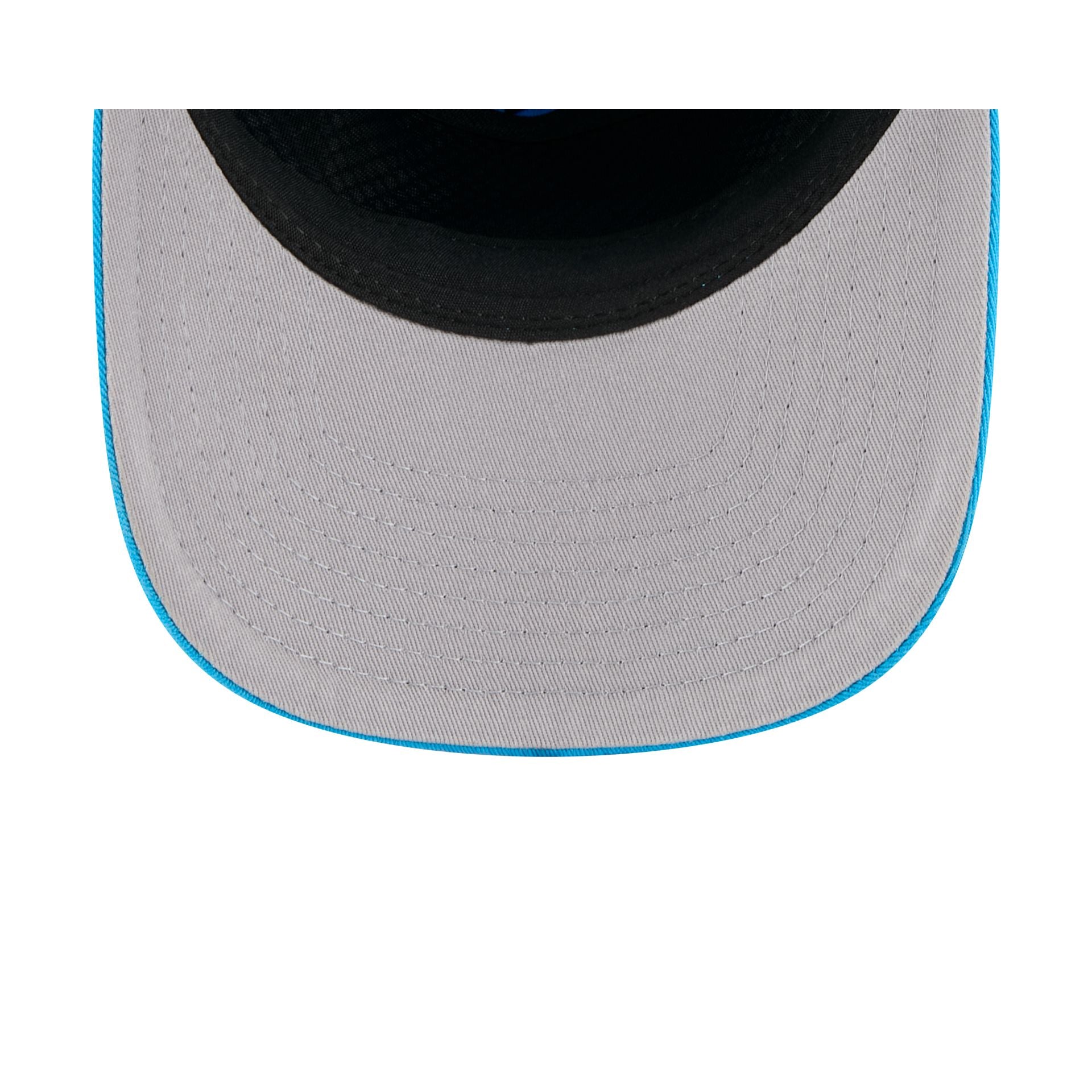 Carolina Panthers 19TWENTY Snapback Hat