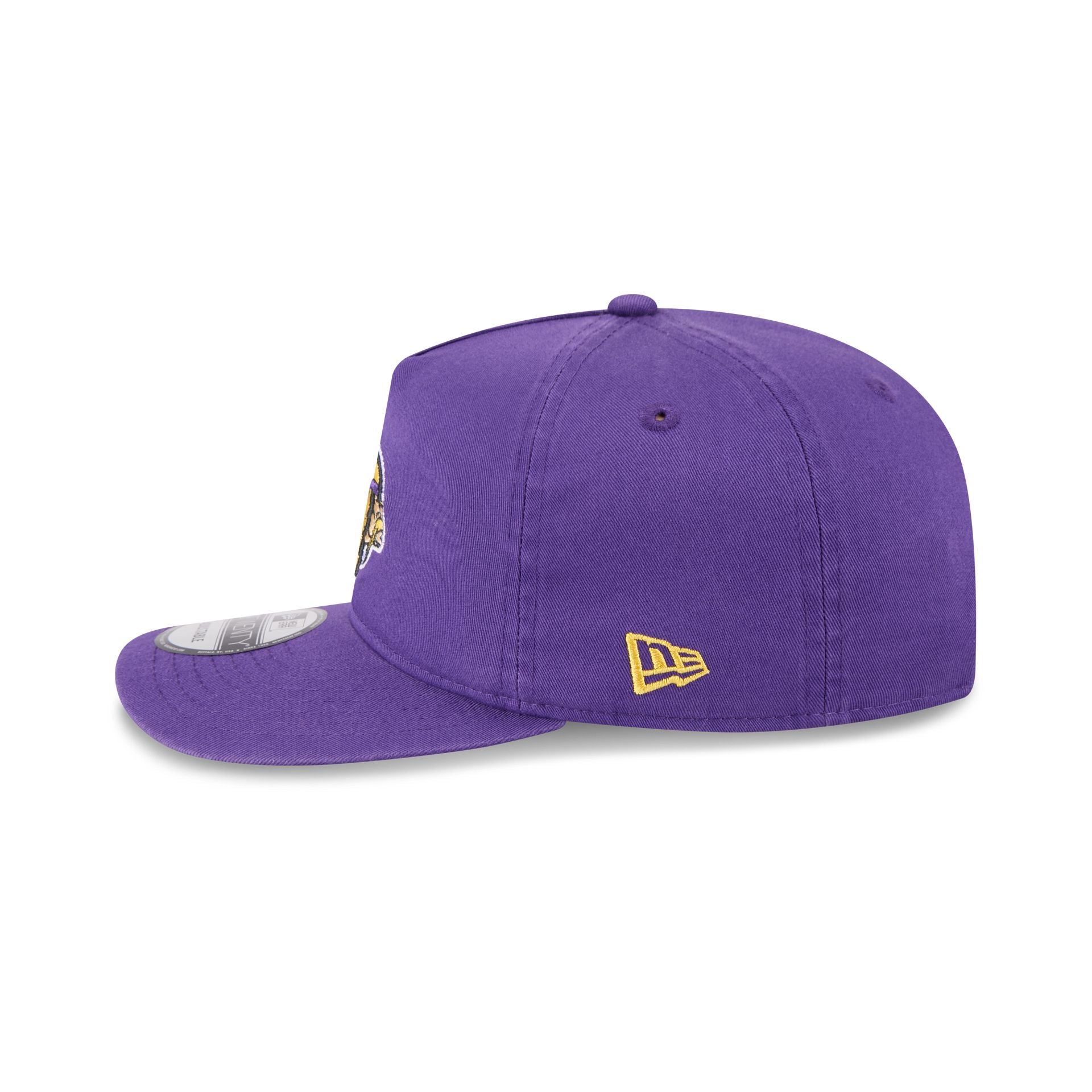 Minnesota Vikings 19TWENTY Snapback Hat