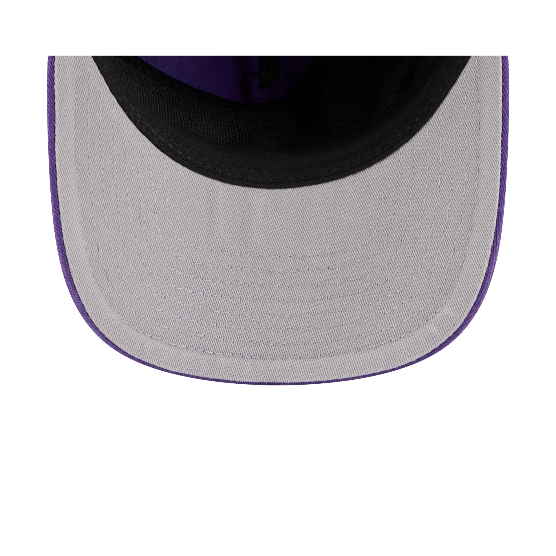 Minnesota Vikings 19TWENTY Snapback Hat