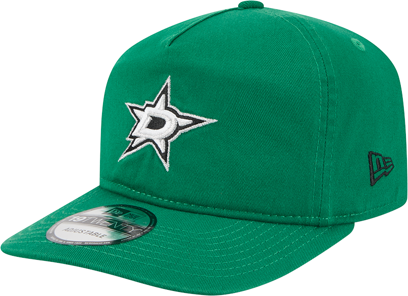 Dallas Stars 19TWENTY Snapback Hat