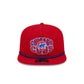 Chicago Cubs Classic Tones 19TWENTY Adjustable Hat