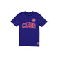 Chicago Cubs Throwback Applique Pinstripe T-Shirt