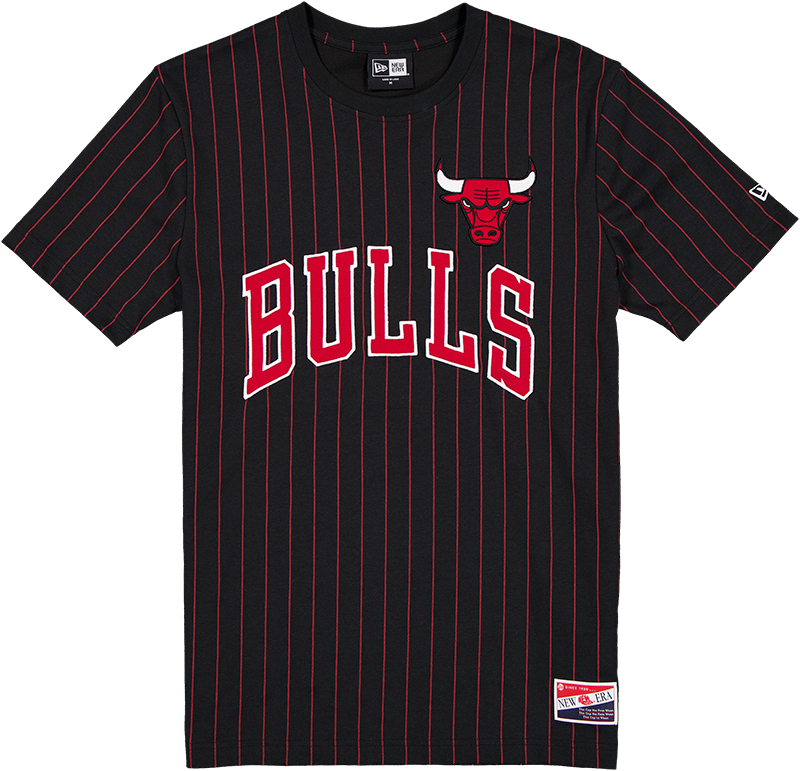 Chicago Bulls Throwback Applique Pinstripe T-Shirt