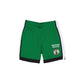 Boston Celtics Team Color Summer Shorts