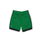 Boston Celtics Team Color Summer Shorts