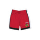 Chicago Blackhawks Team Color Summer Shorts