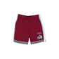 Colorado Avalanche Team Color Summer Shorts