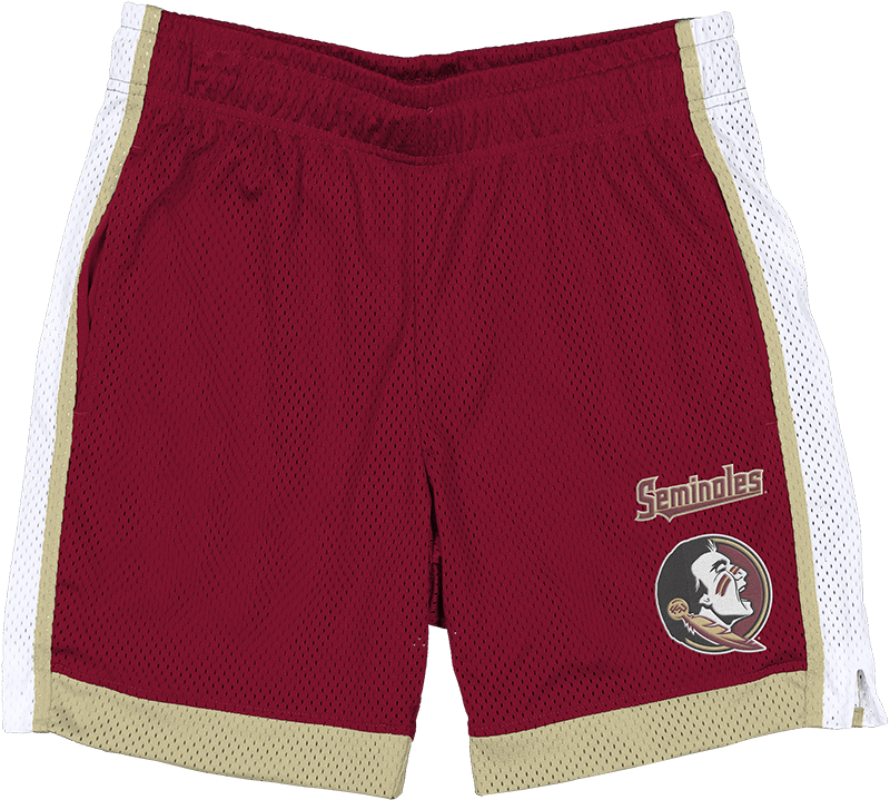 Florida State Seminoles Team Color Summer Shorts
