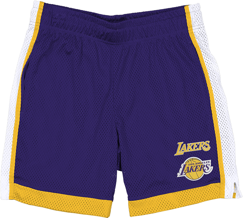 Los Angeles Lakers Team Color Summer Shorts