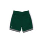Michigan State Spartans Team Color Summer Shorts