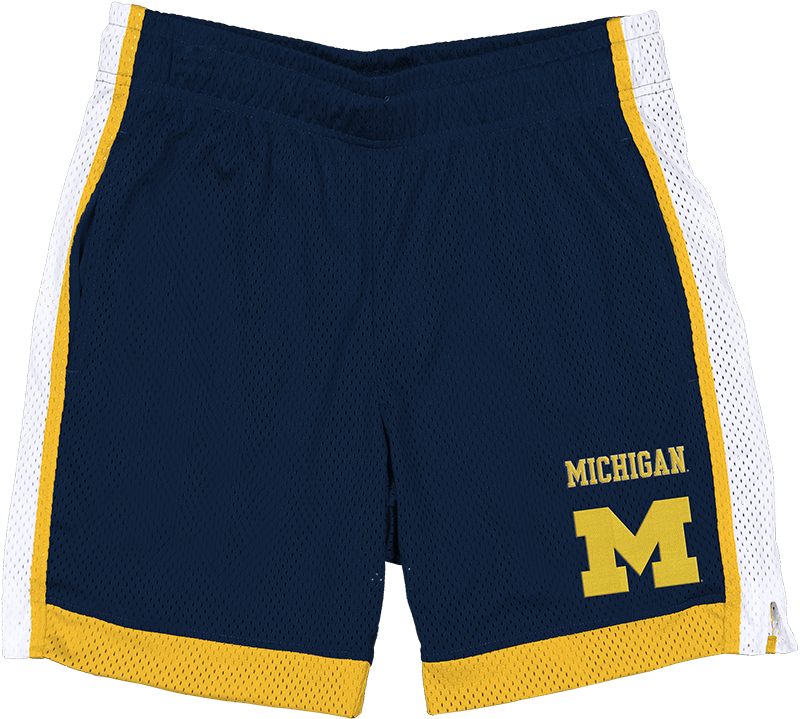 Michigan Wolverines Team Color Summer Shorts