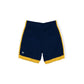 Michigan Wolverines Team Color Summer Shorts
