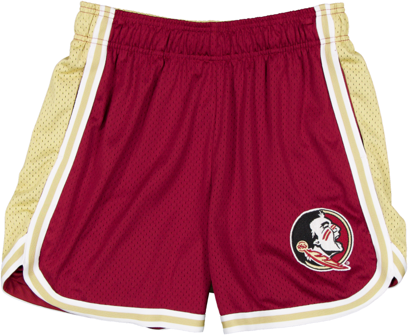 Florida State Seminoles Team Color Women's Summer Shorts