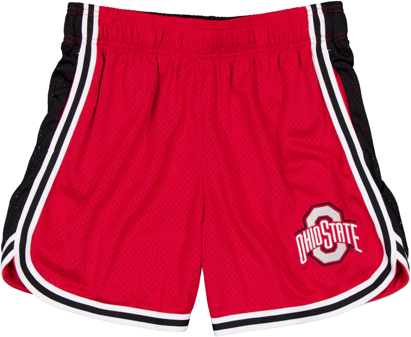 Ohio State Buckeyes Team Color Women's Summer Shorts