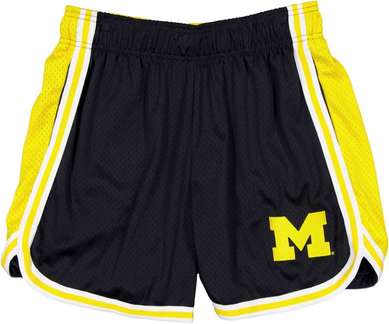 Michigan Wolverines Team Color Women's Summer Shorts