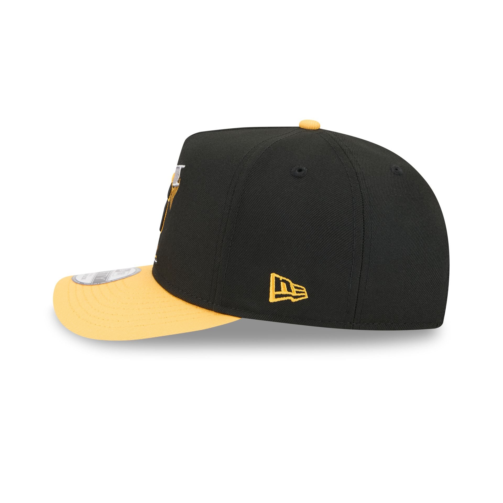 Pittsburgh Steelers Cartoon 9FIFTY A-Frame Snapback Hat