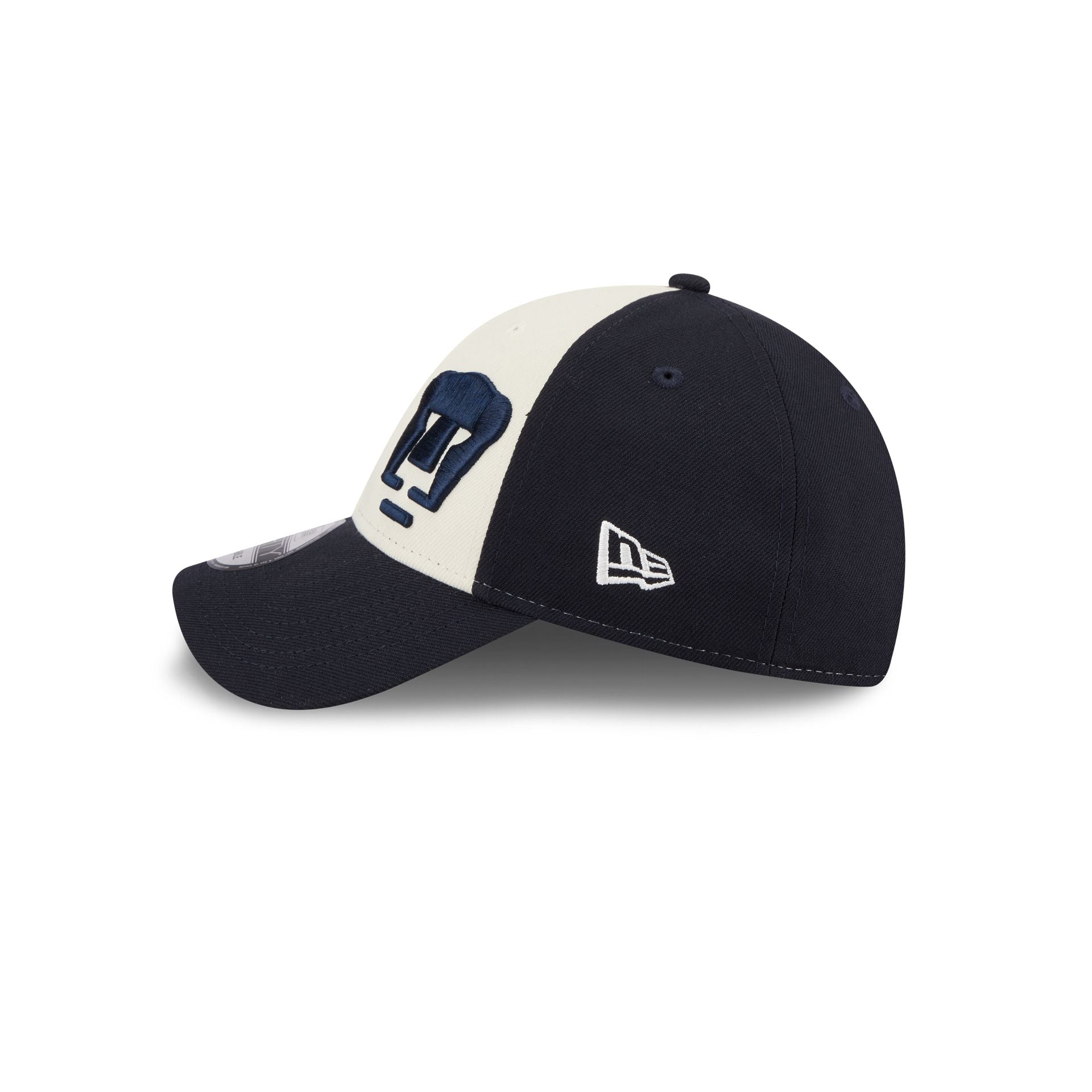 Rayados Dual Logo 9FORTY Snapback Hat