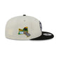 Brooklyn Nets Localized 9FIFTY Snapback Hat