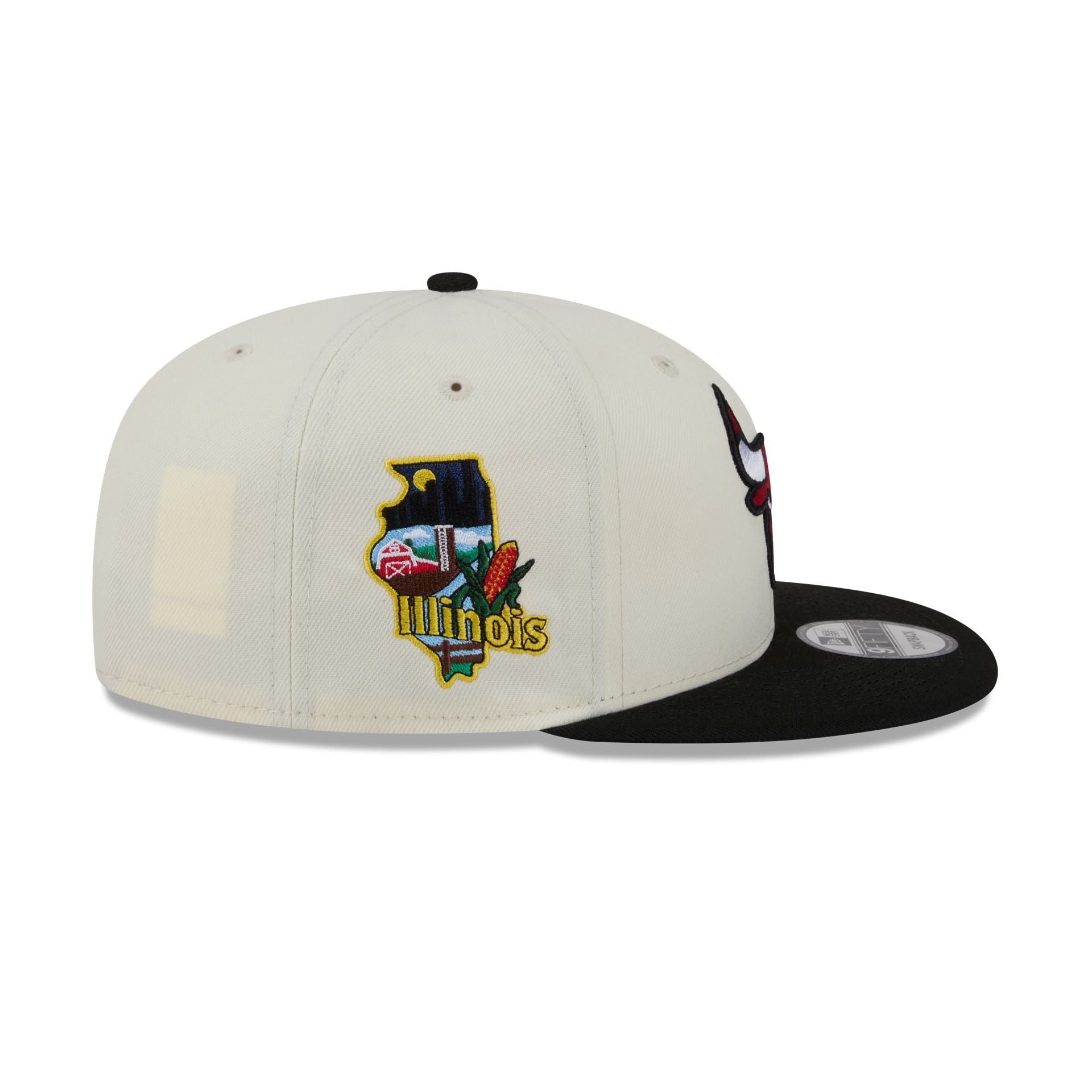 Chicago Bulls Localized 9FIFTY Snapback Hat
