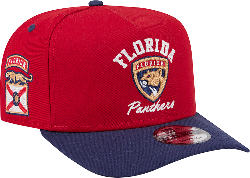 Florida Panthers Arched 9FIFTY A-Frame Snapback Hat