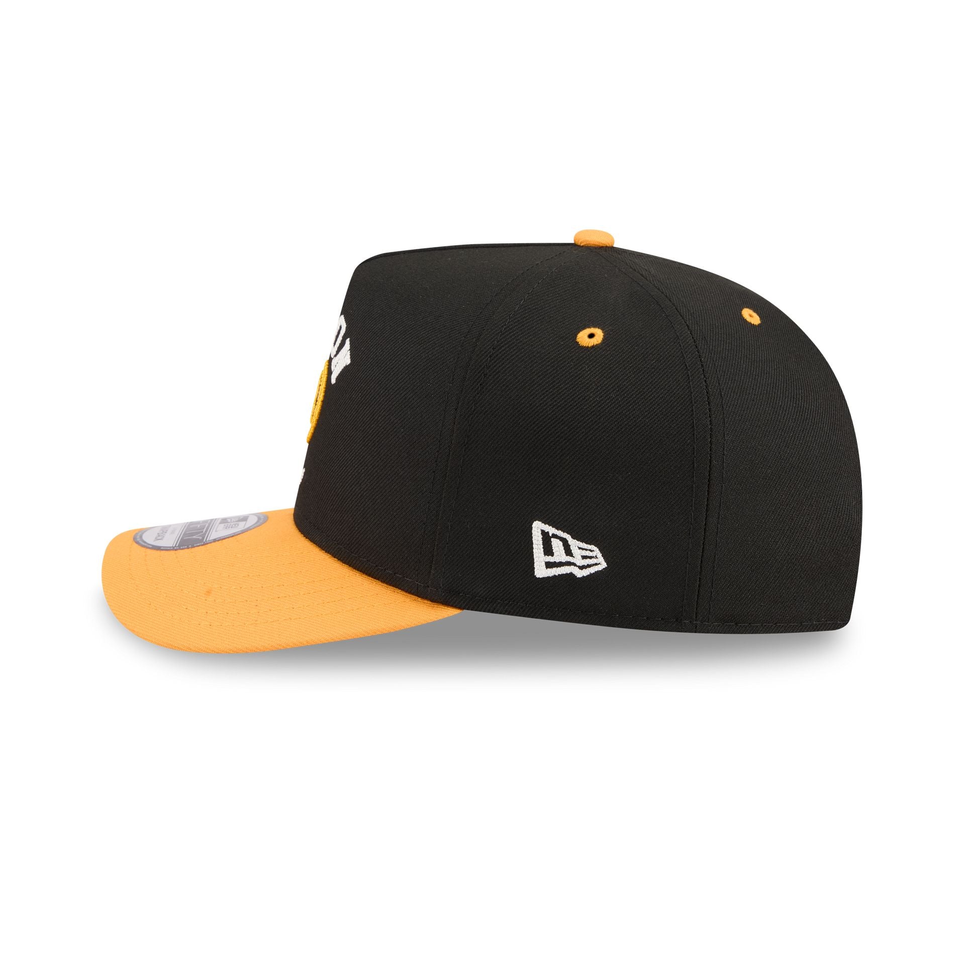 Boston Bruins Arched 9FIFTY A-Frame Snapback Hat