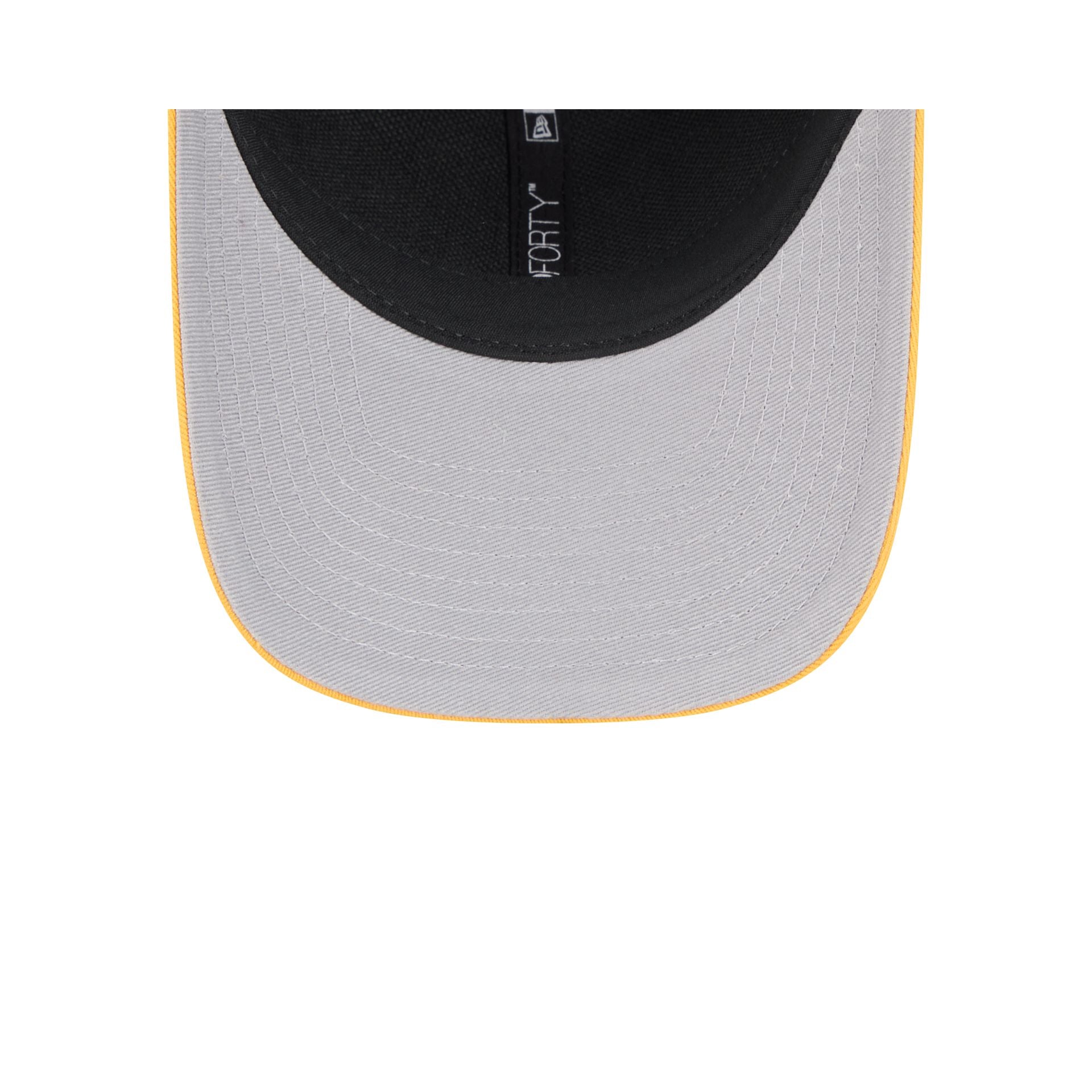 Pittsburgh Steelers Team Loyal 9FORTY M-Crown Snapback Hat