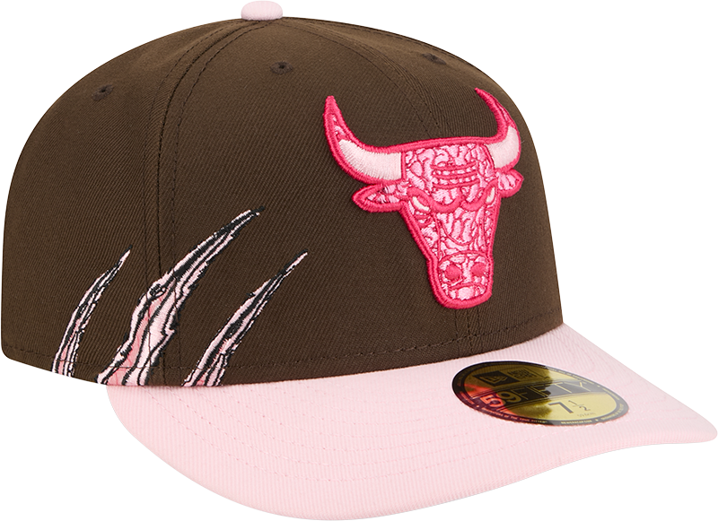 Chicago Bulls Brains 59FIFTY Fitted Hat