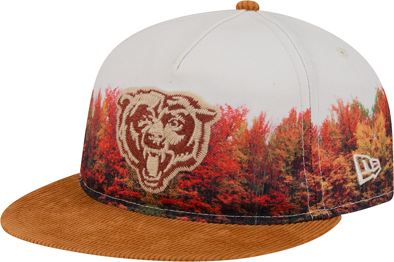 Chicago Bears Fall Forest Retro Crown 9FIFTY Adjustable Hat