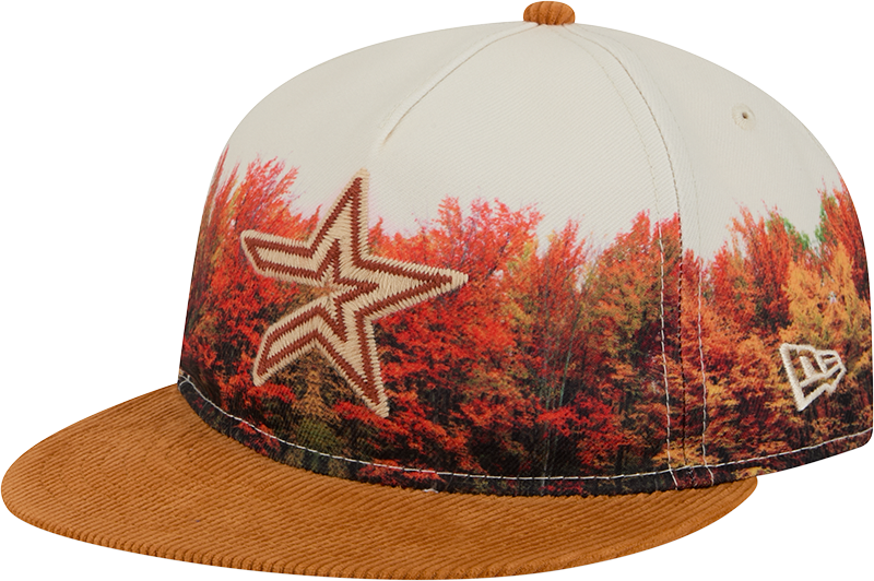 Houston Astros Fall Forest Retro Crown 9FIFTY Adjustable Hat