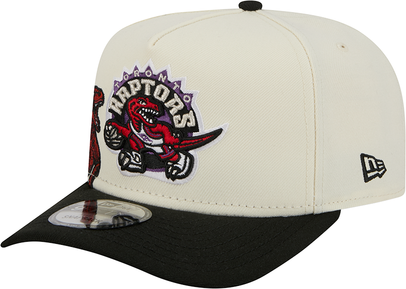 Toronto Raptors 1995-2007 Hardwood Classics Chrome White 9FIFTY A-Frame Snapback Hat