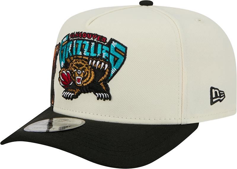 Vancouver Grizzlies 1995-2001 Hardwood Classics Chrome White 9FIFTY A-Frame Snapback Hat