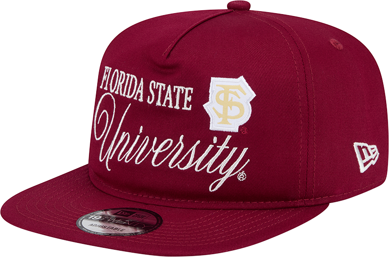 Florida State Seminoles Script 19TWENTY Snapback Hat