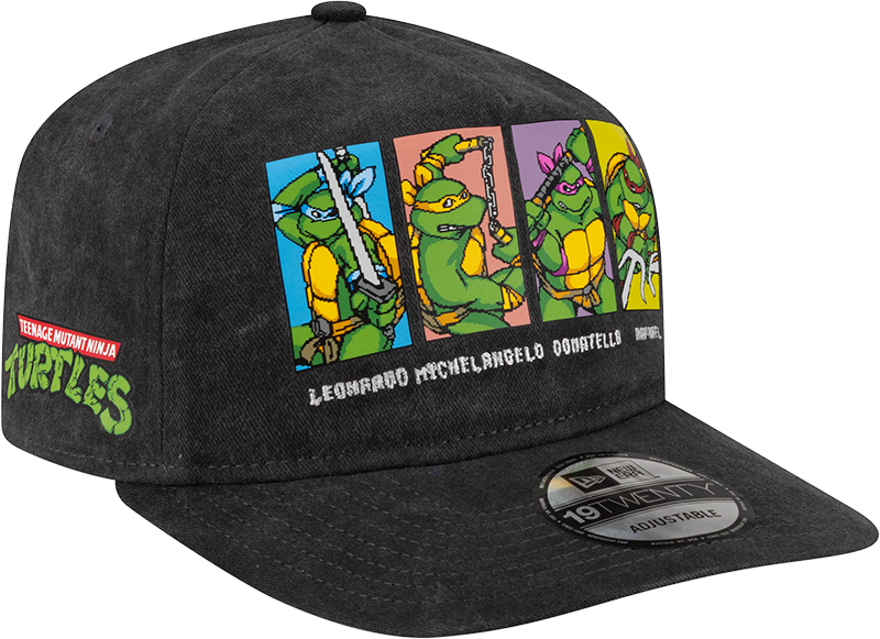 Teenage Mutant Ninja Turtles Team 19TWENTY Adjustable Hat